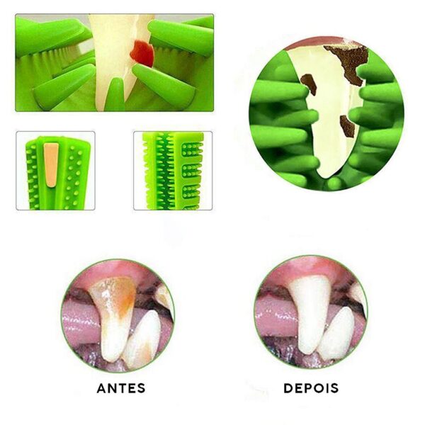 Brinquedo Mordedor Escova De Dente Para Cachorro Medio - Image 10